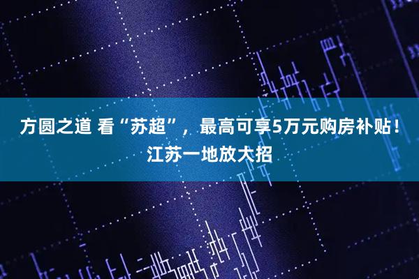 方圆之道 看“苏超”，最高可享5万元购房补贴！江苏一地放大招