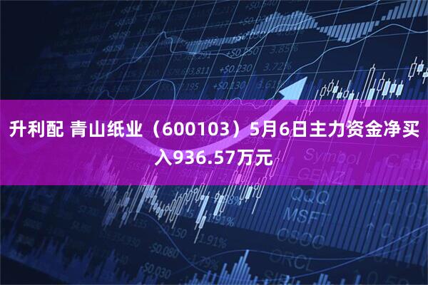 升利配 青山纸业（600103）5月6日主力资金净买入936.57万元