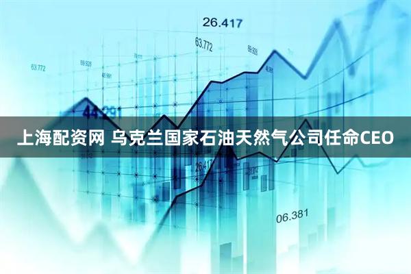 上海配资网 乌克兰国家石油天然气公司任命CEO